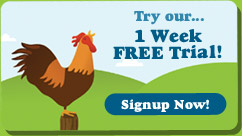 Wake Up Calls Free Trial