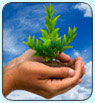 grow your idea with wakeupland