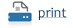 Print Press Release